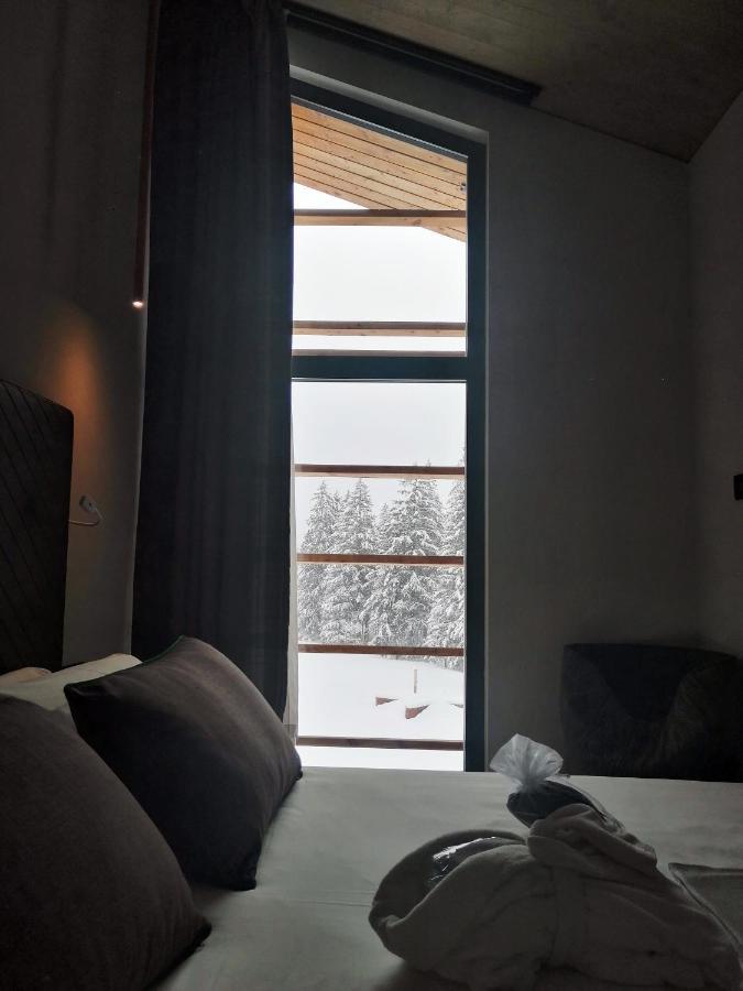 Aethos Monterosa Otel Champoluc Dış mekan fotoğraf